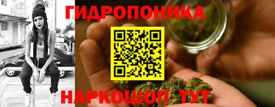 прущие грибы Ангарск
