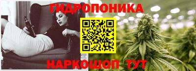 прущие грибы Ангарск